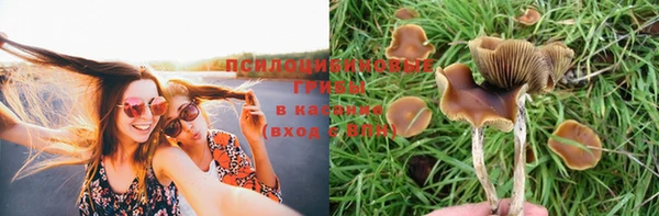 мдпв Краснотурьинск