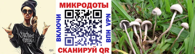 Псилоцибиновые грибы GOLDEN TEACHER  Костерёво 